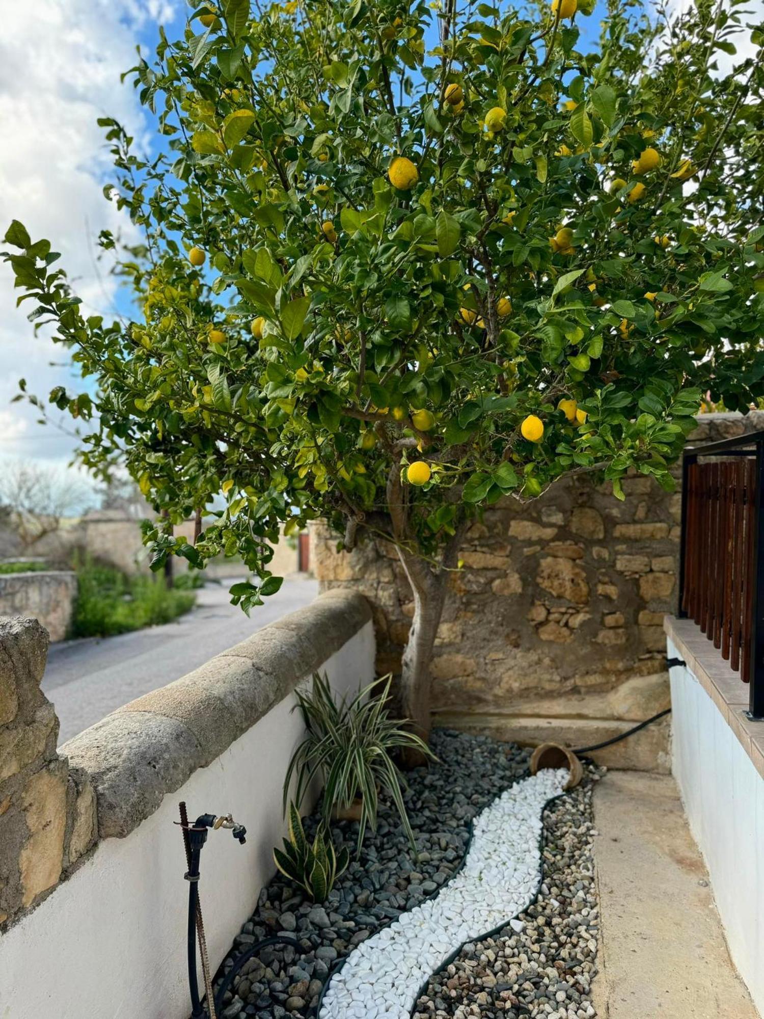 הוילה Pano Arodes Mariarodes House מראה חיצוני תמונה